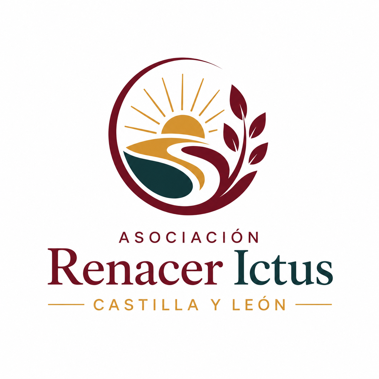 Entidad social colaboradora